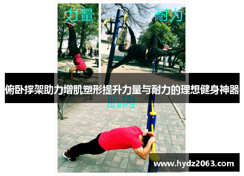 俯卧撑架助力增肌塑形提升力量与耐力的理想健身神器