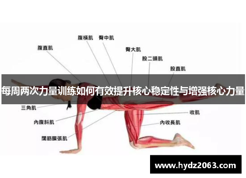 每周两次力量训练如何有效提升核心稳定性与增强核心力量