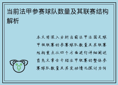 当前法甲参赛球队数量及其联赛结构解析